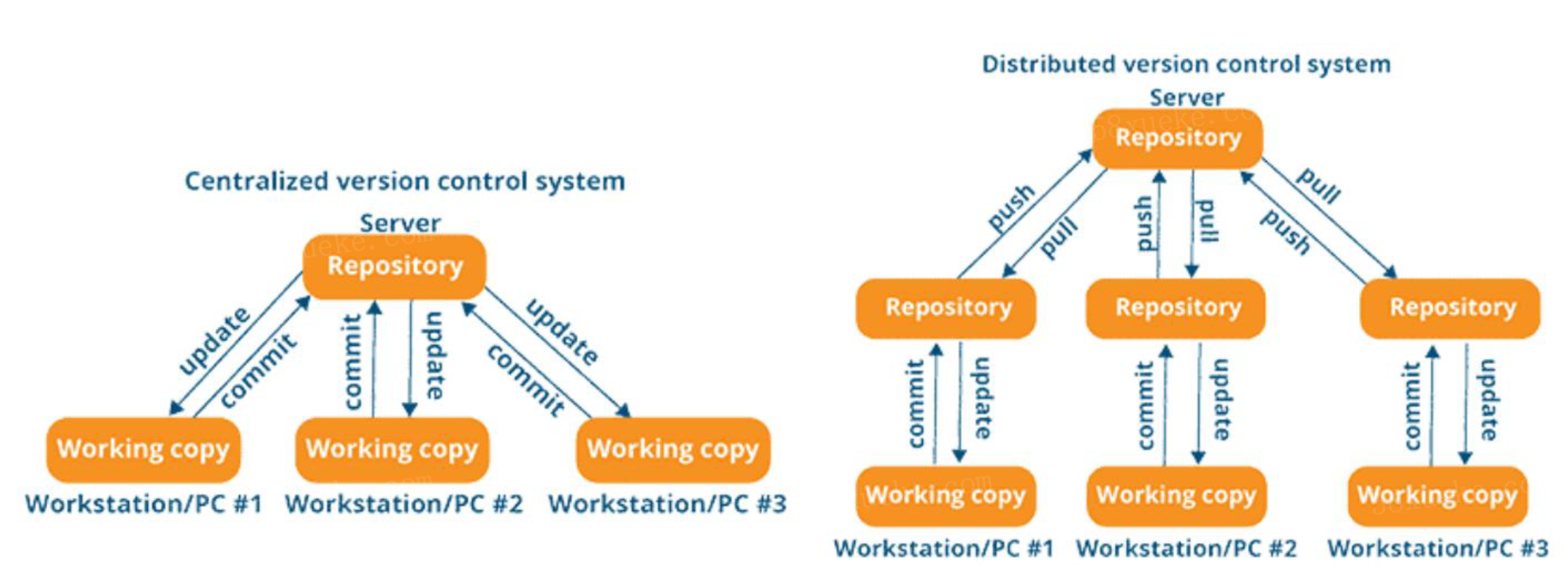 image-20240123224306643