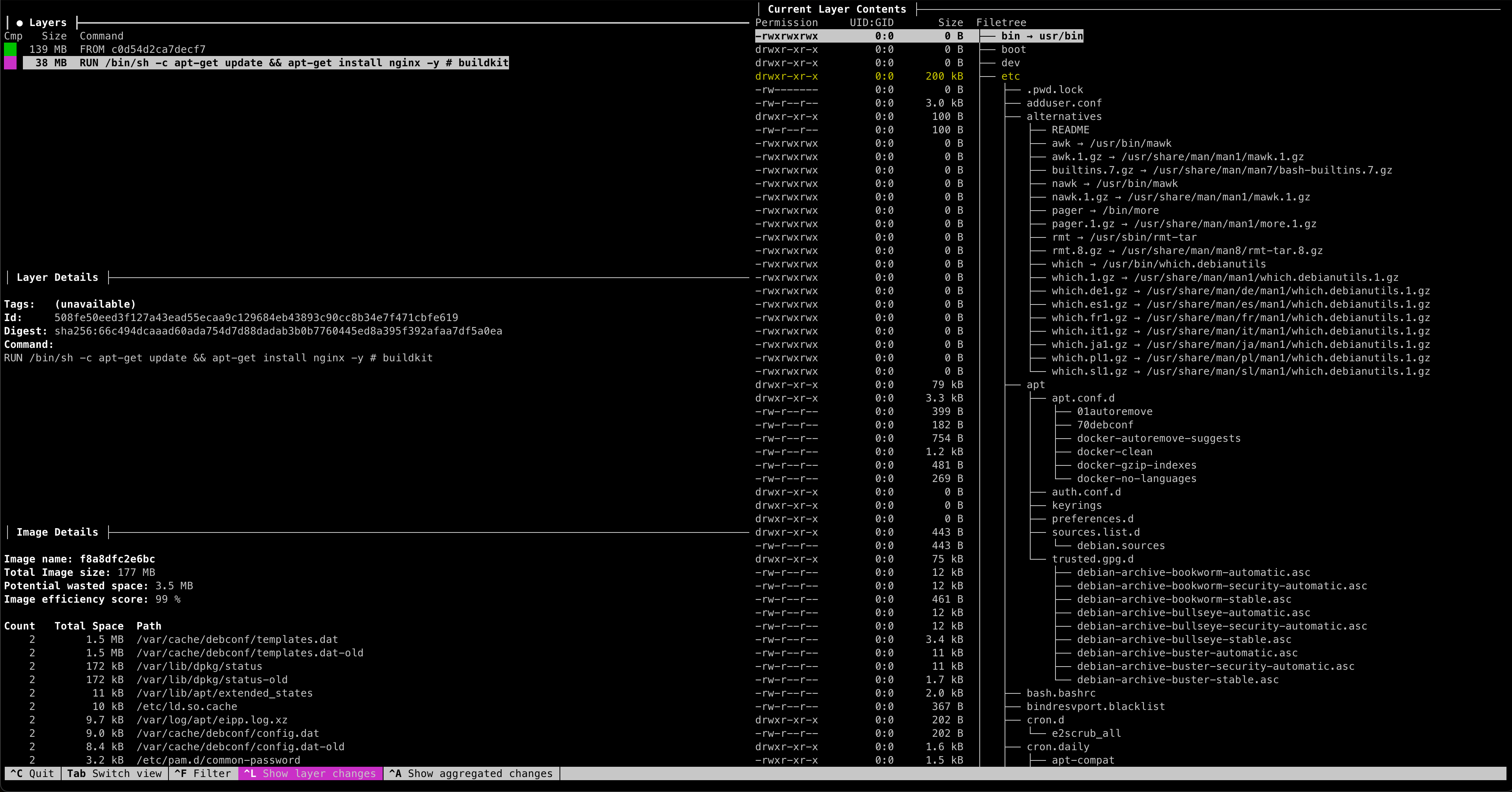 image-20240206145333549